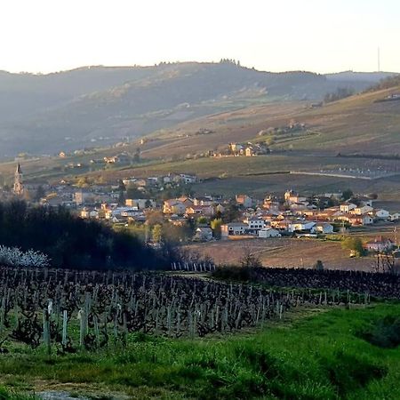 Ferienwohnung Au Coeur Des Vignes Chenas Du Beaujolais La Chapelle-de-Guinchay Exterior foto