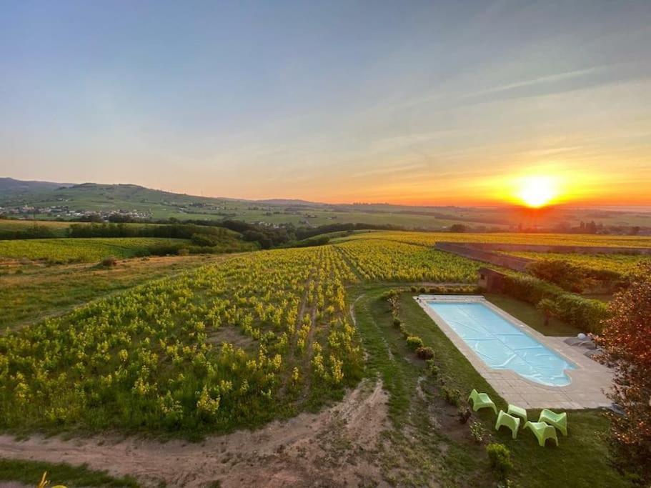 Ferienwohnung Au Coeur Des Vignes Chenas Du Beaujolais La Chapelle-de-Guinchay Exterior foto