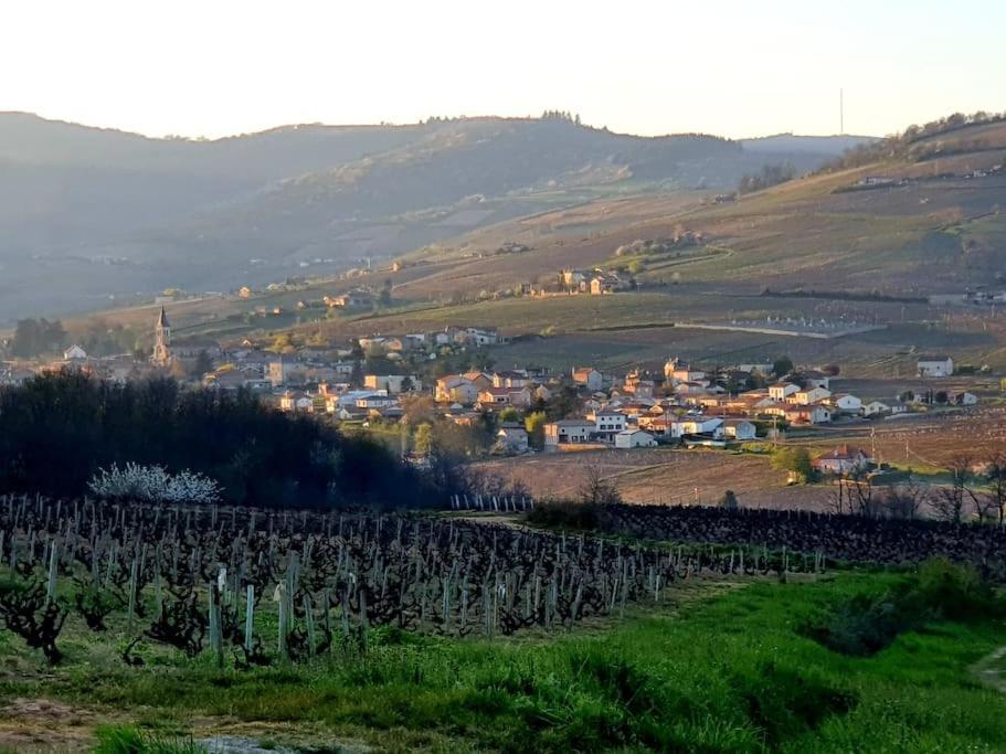 Ferienwohnung Au Coeur Des Vignes Chenas Du Beaujolais La Chapelle-de-Guinchay Exterior foto
